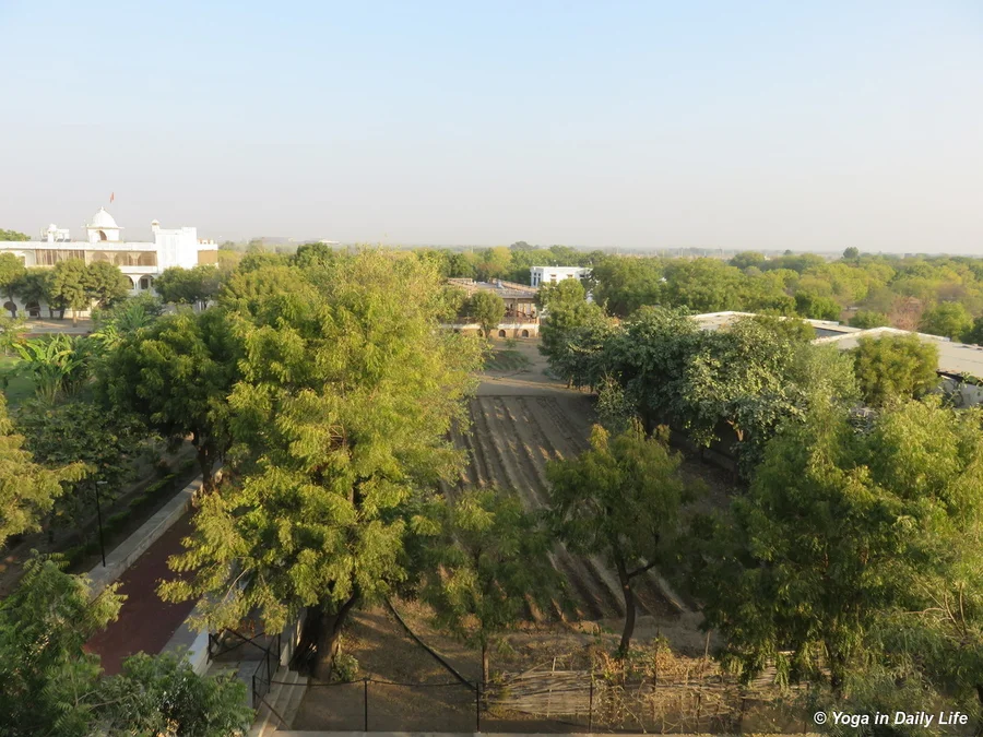 Long straight channels prepared for flowers in workshop garden